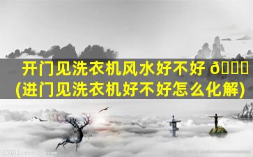 开门见洗衣机风水好不好 🐋 (进门见洗衣机好不好怎么化解)
